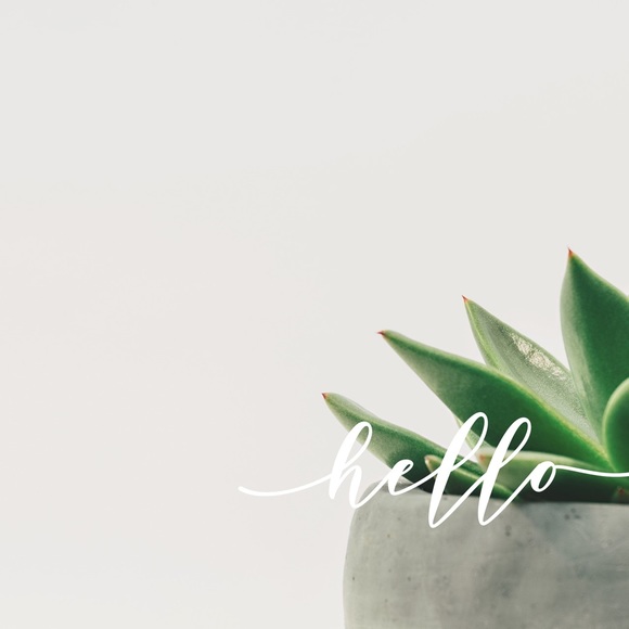 Hello. - Picture 2 of 6